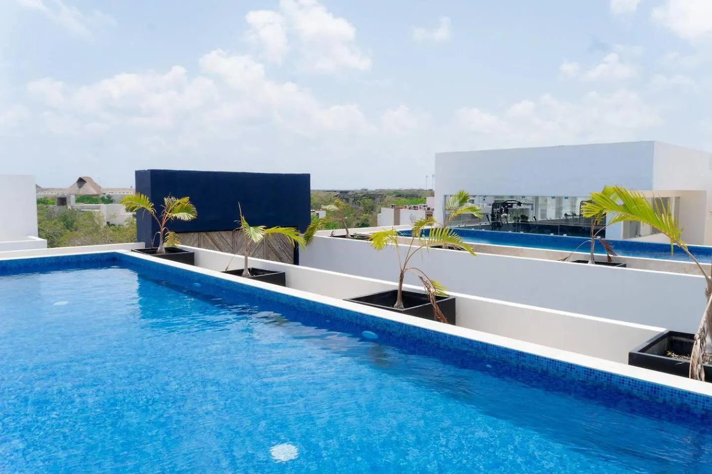 Lux Suite With Private Plunge Pool And Gym Tulum 0*,  Mexico